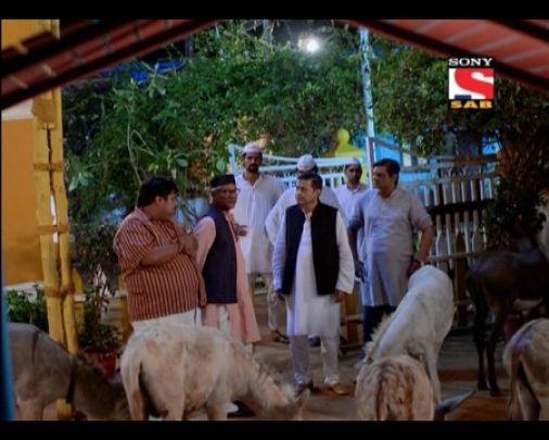 Gadhe Ki Shaadi