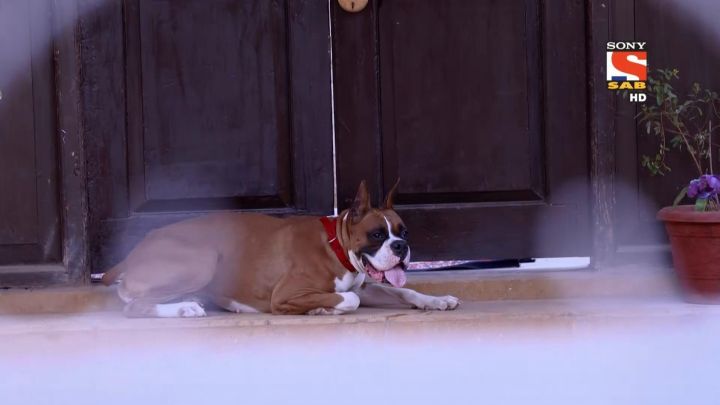 Thieves In Chidiyaghar