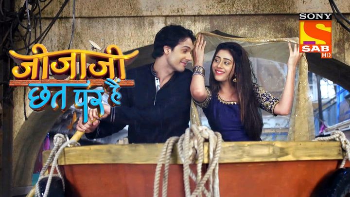 Raining Cats And Dogs