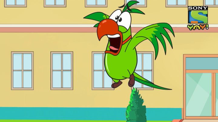 Dr. Bhalu's Memory-loss