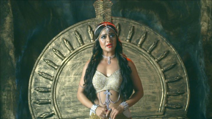 The Cat Cracks The Code