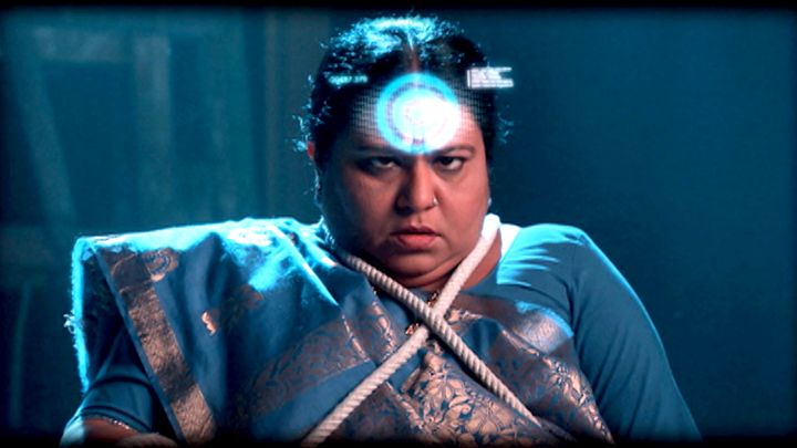 2015 in Sunshine Colony