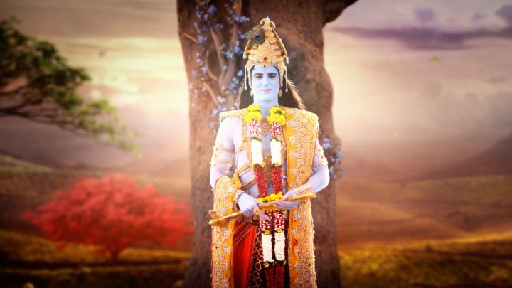 Krishna Ji Ki Pratima