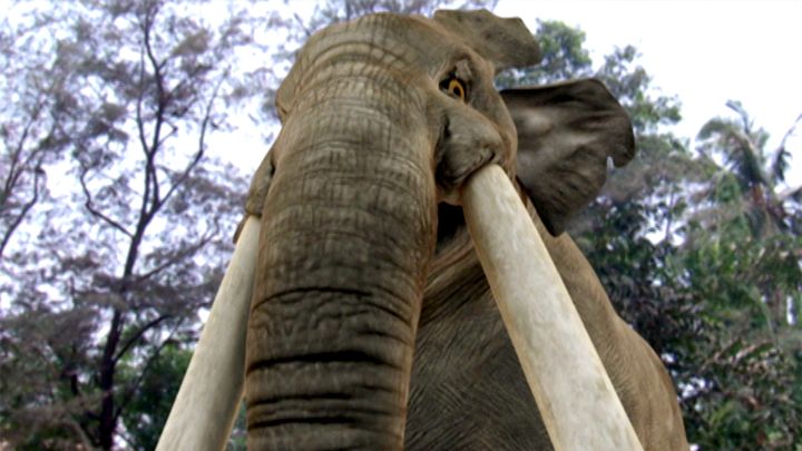 Baalveer Vs Mahaghajni