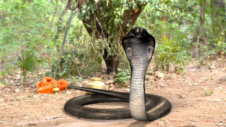 Wait For The Regret To Hit