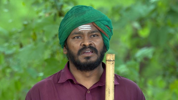 The Couple Is Questioned