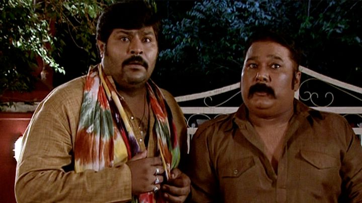 Thieves Try To Break Into Chidiya Ghar