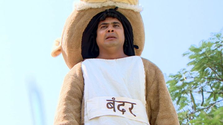 Does Kapi Have A Job?