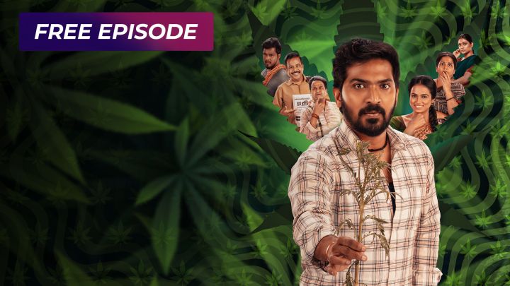 The Accidental Farmer