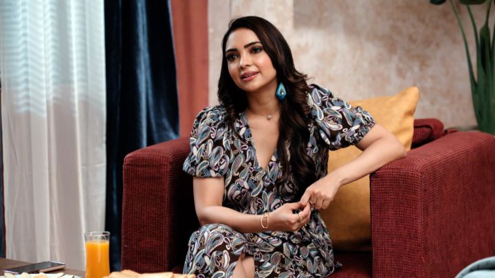 Dispute Settlement Plan