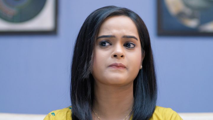 Bachelors Not Allowed