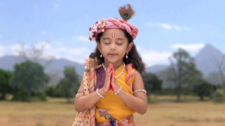 Lakshmi Maa's Footprints