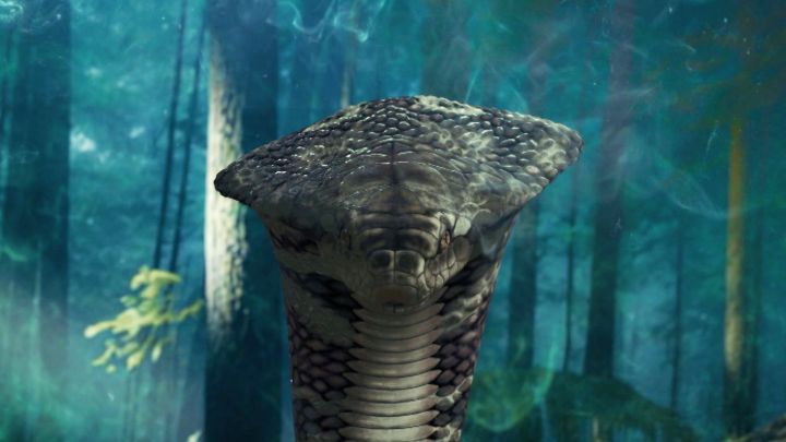 Nagraj Takshak Ka Pratishod