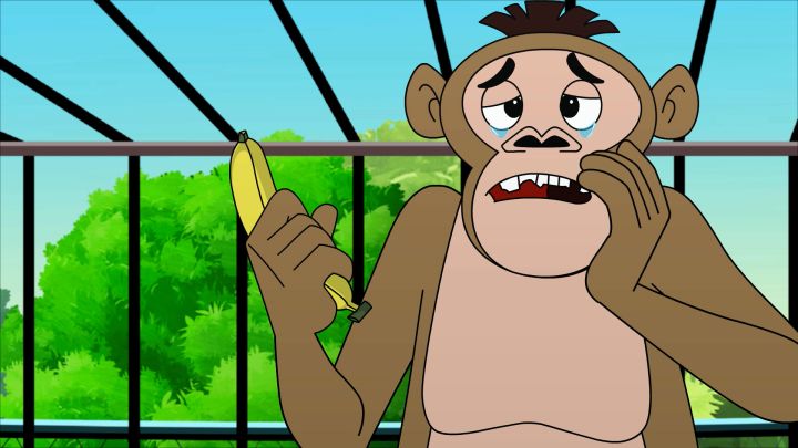 Animal Disturbing Kids