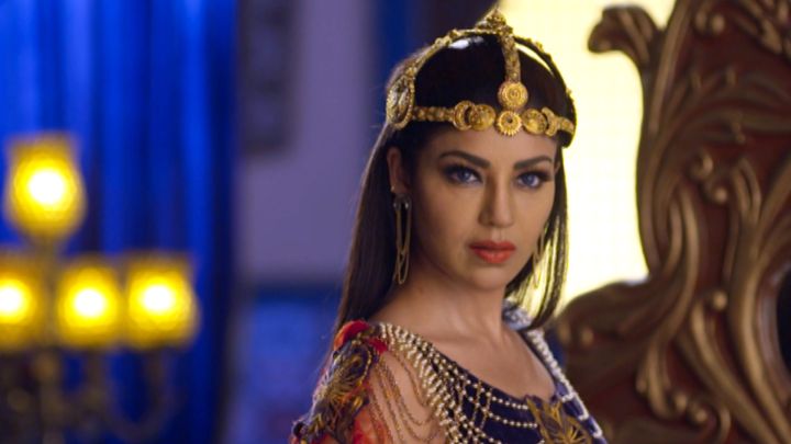 Aladdin's Life As A Cat