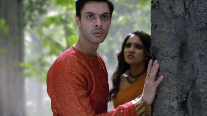 Aladdin In The Forest