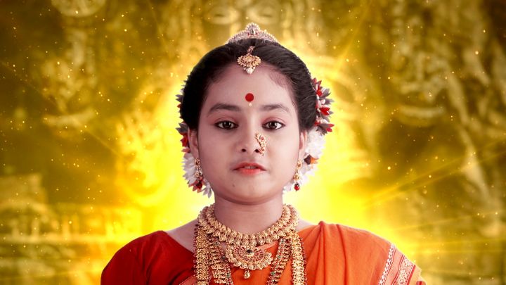 Where The Light Shines