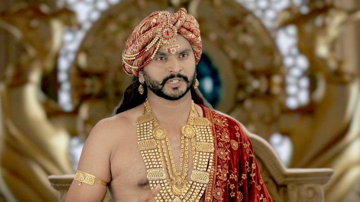 Encounters With Snakes