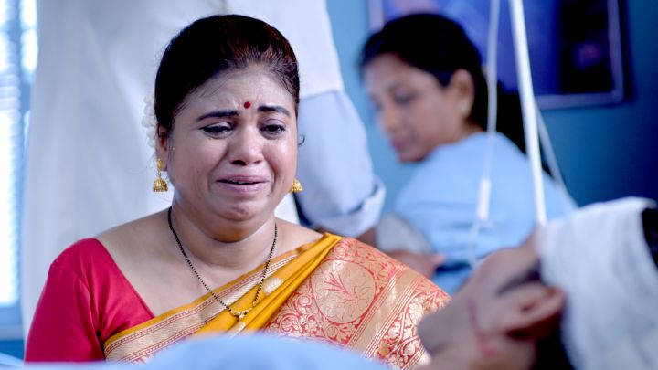 Asha's Policy Papers