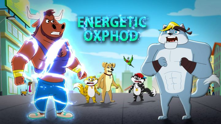 Energetic Oxphod