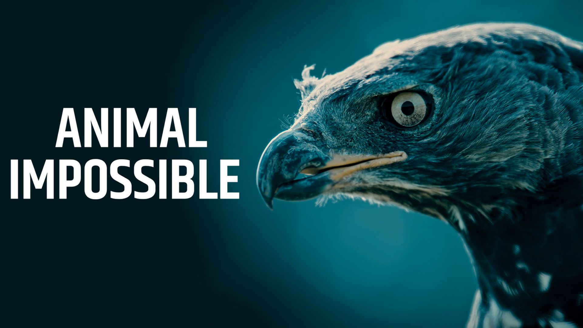 Animal Impossible