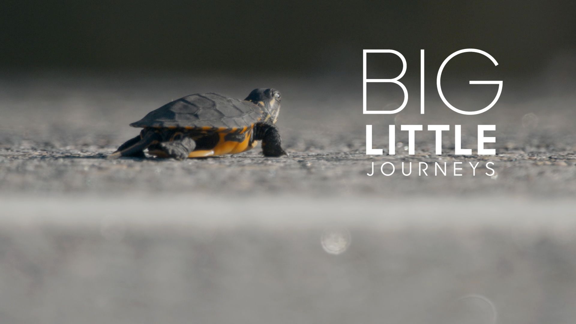 Big Little Journeys