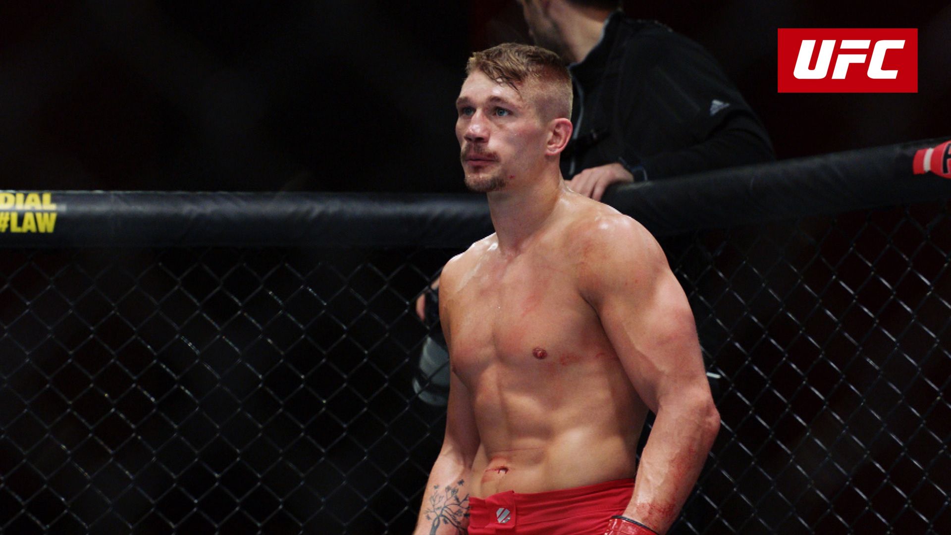 Watch the-ultimate-fighter only on Watcho - Watch The Ultimate Fighter Season 1 Episode 1