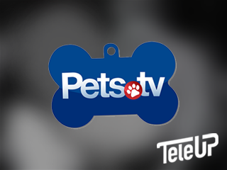  Pets TV 