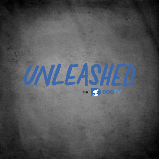 DogTV