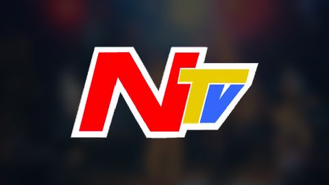 NTV Online