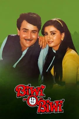 Biwi-O-Biwi