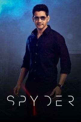 Spyder