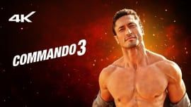 Commando 3