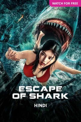 Escape of Shark