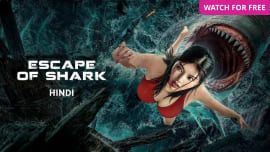 Escape of Shark