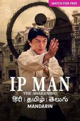 IP Man: The Awakening