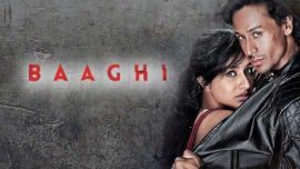 Baaghi: Rebels In Love