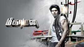 Meaghamann