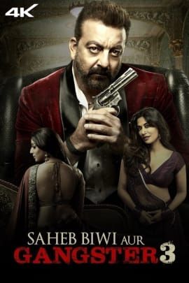 Saheb Biwi Aur Gangster 3