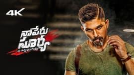 Naa Peru Surya Na Illu India