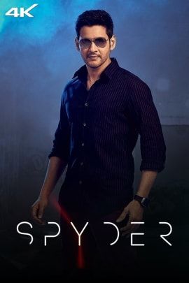 Spyder