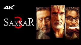 Sarkar 3