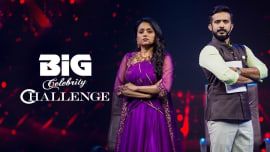 Big Celebrity Challenge