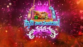 Swamy Vari Sambaralu Taggede Le